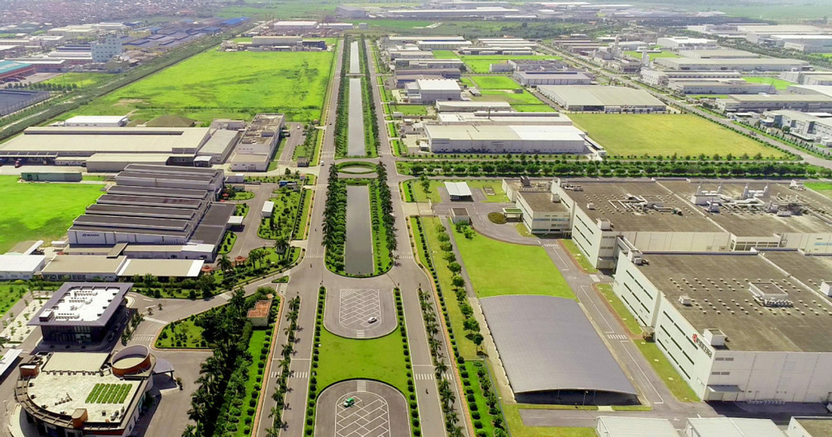 11 nhung 12.08.2024