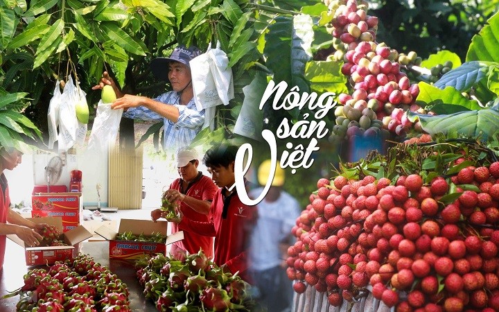 9 nhung 22.08.2024