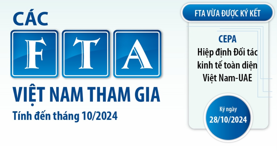 5 nhung 30.10.2024