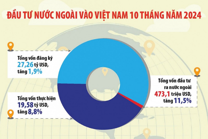 9 nhung 11.11.2024