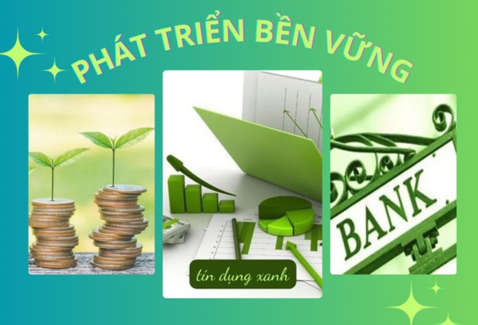 12 nhung 21.11.2024