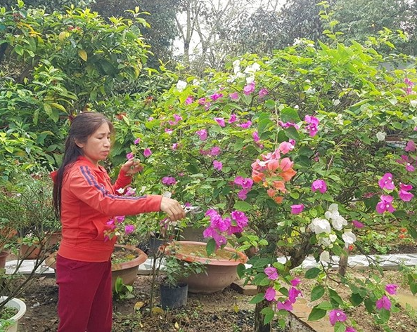 6 nhung 4.11.2024