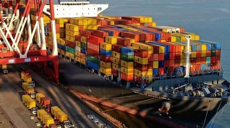 12 nga 28.11.2024