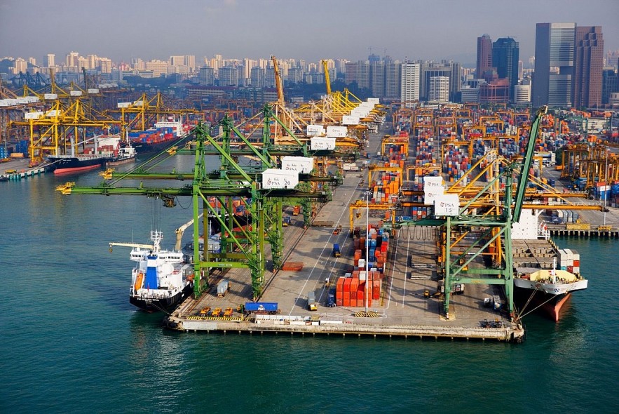 wto tang truong thuong mai toan cau giam 50