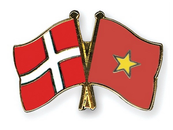 vn dan mach
