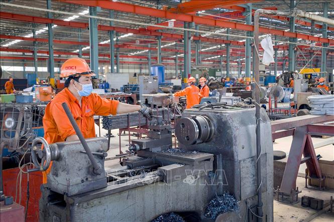 vn dna