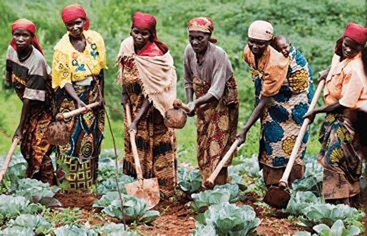 afcfta