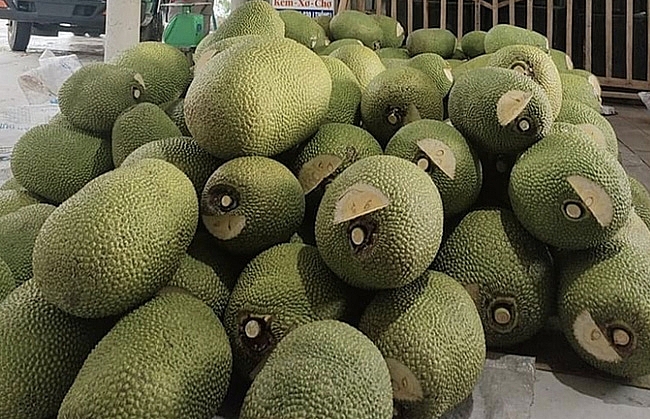 nong san