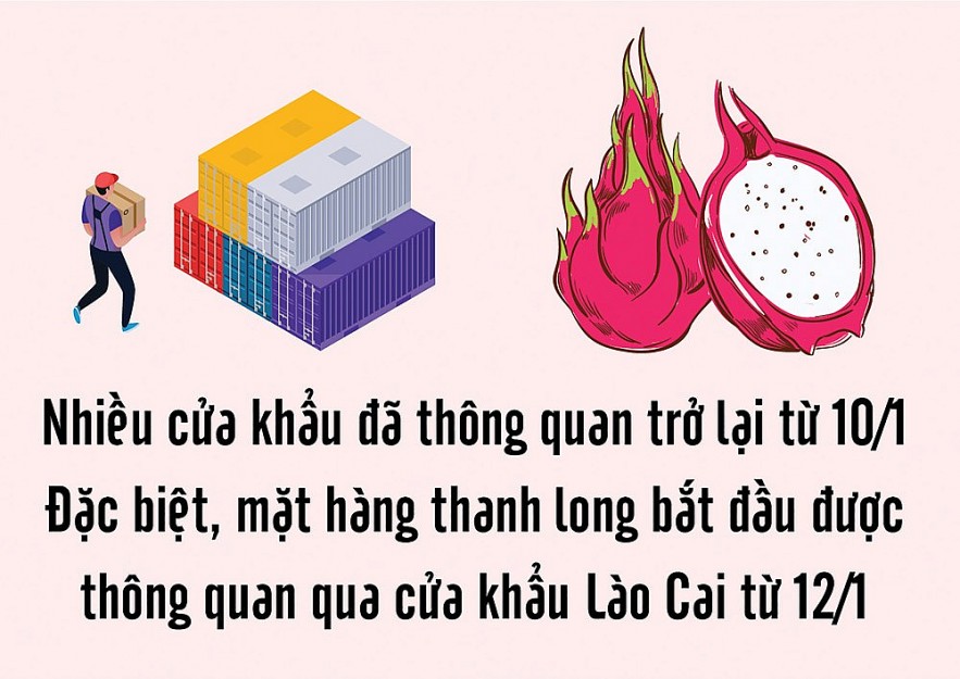 xuat khau chinh ngach se la giai phap can co