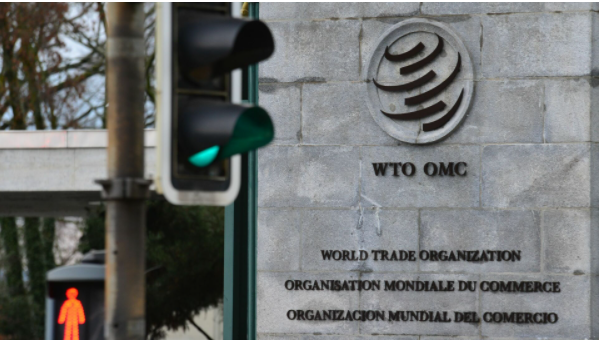 eu wto