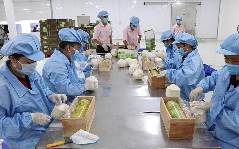 xk nong san rcep
