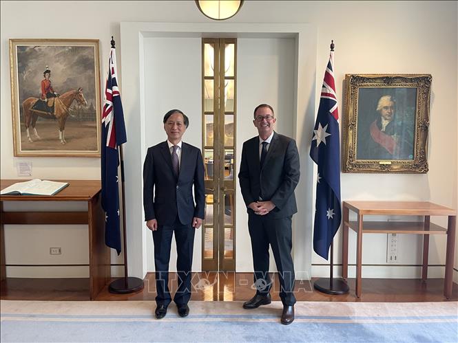 australia vn