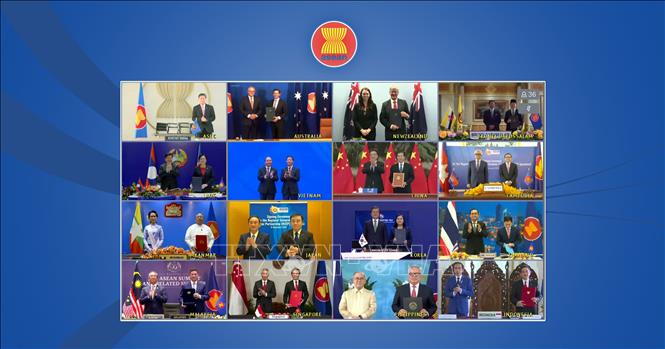 RCEP vn