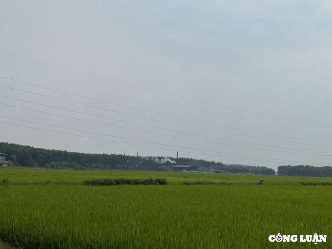 can nhung chinh sach dot pha de phat trien kinh te nong nghiep