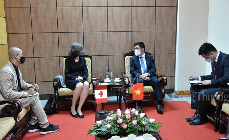 vn canada