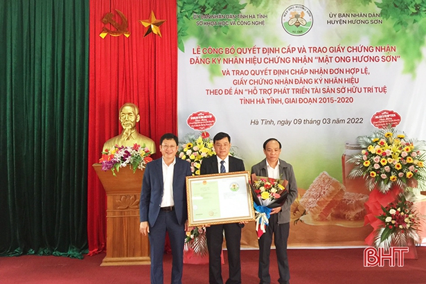 mat ong huong son