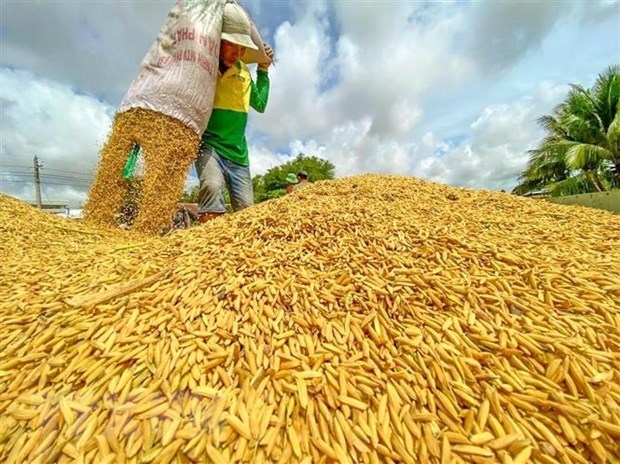 nongsanvietnam