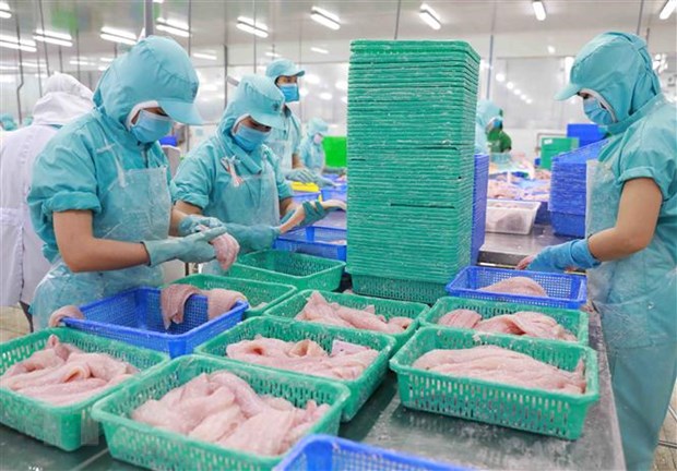 vn rcep