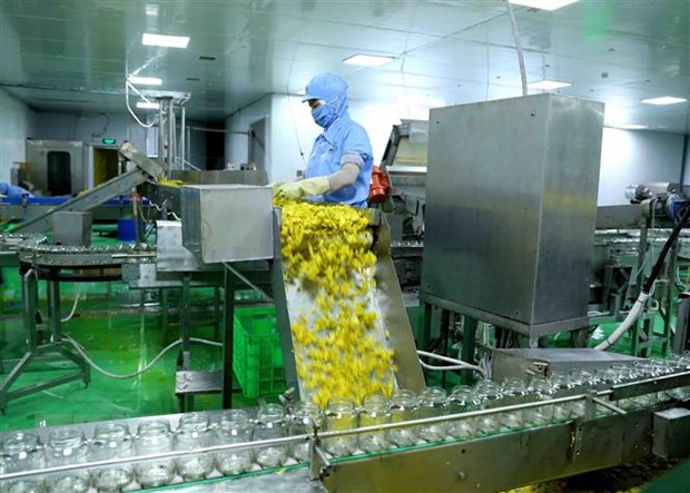 tt thục pham halal