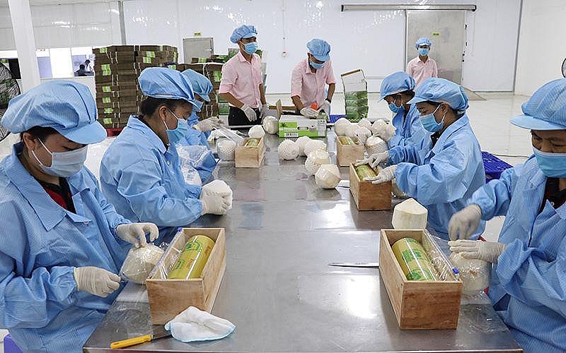 rcep mang den co hoi phat trien cho cac doanh nghiep viet nam