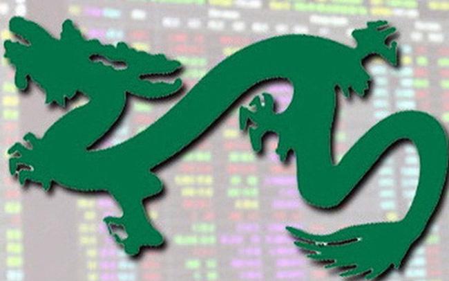 dragon capital