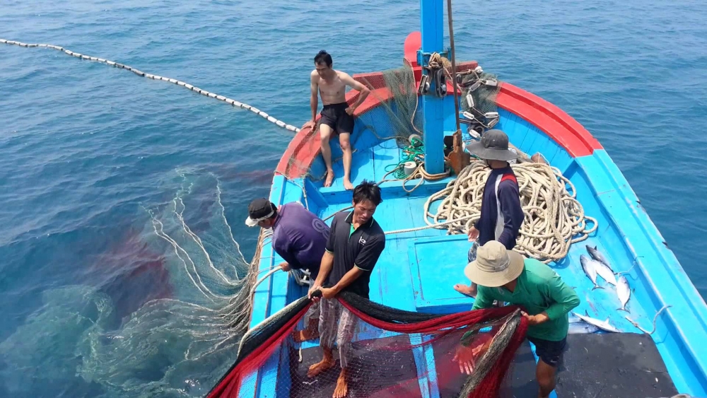 the vang iuu