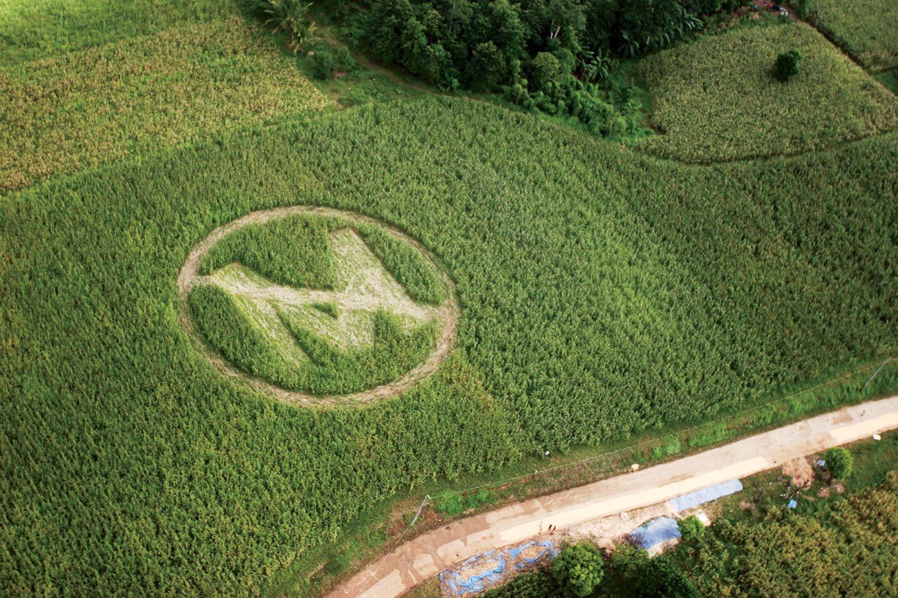 monsanto canh dong