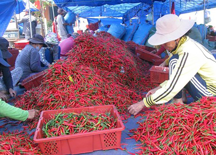 xuat khau ot