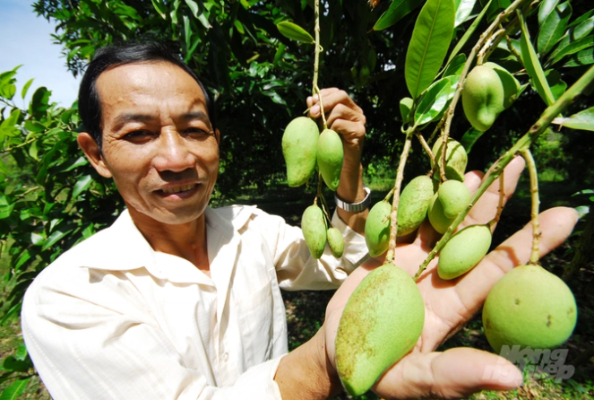 ma so vung trong