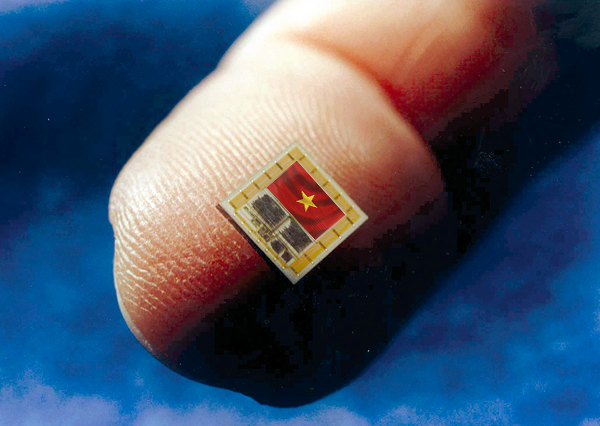 chip