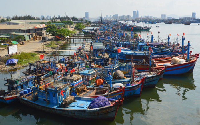 the vang iuu