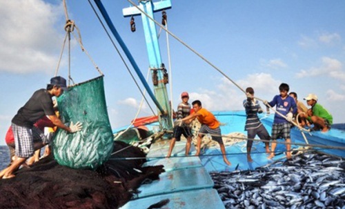 iuu