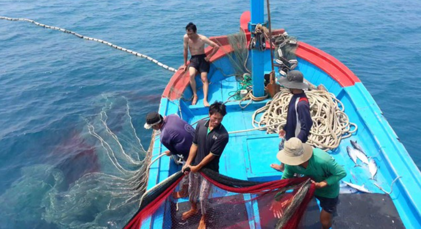 the iuu