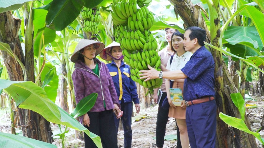 ma vung