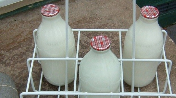 new zealand milk