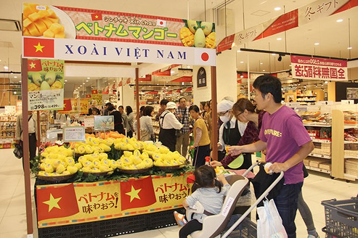 thuc day doanh nghiep viet nam tham gia truc tiep cac mang phan phoi nuoc ngoai