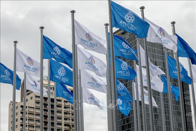 apec 17112022