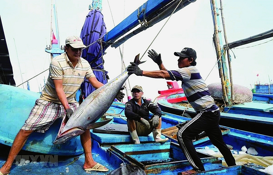 the vang iuu