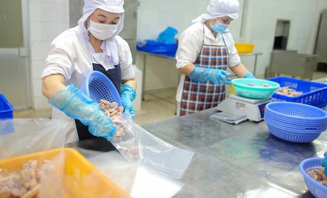 kịch ban