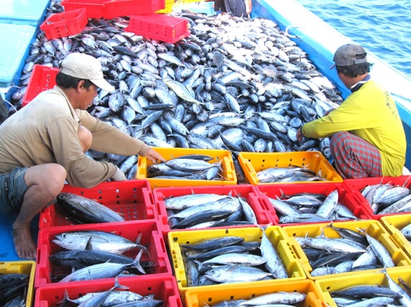 iuu