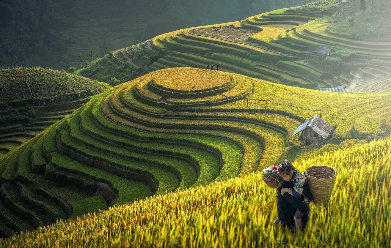ho tro tang truong xanh 1 1734272444
