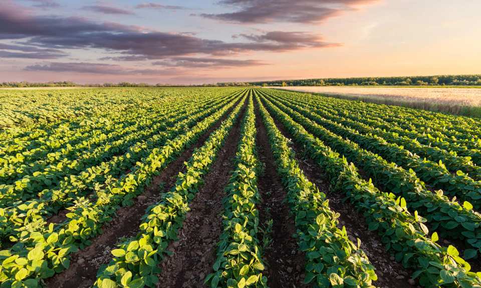 food tank eu policybuilding a food policy that brings everybody to the same table