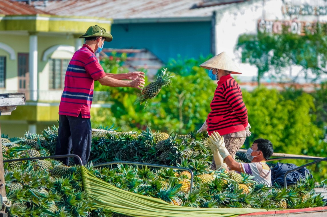 xuat khau nong san sang duc trien vong lon khi evfta dang phat huy vai tro tuyen duong cao toc 20240604120438