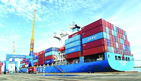 16 04 tinh bot san cua cong ty apfco duoc dong container va xuat khau tai cang chu lai2023080810391320240816104907