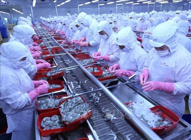vietnam fully taps cptpp to push agro forestry fishery exports vasep 20240130103137