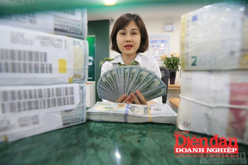usd quoc tuan enternews 1659360681