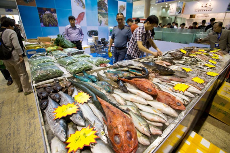 20241204085444954tham hut thuong mai thuy san cua trung quoc se thu 1599 1