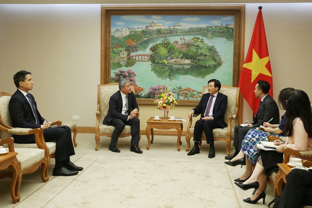 vn wef