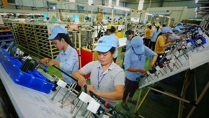 evfta taocu huych hut dong von fdi tu ha lan vao viet nam