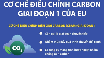 carbon1